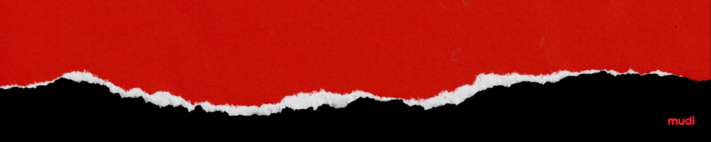 Black Friday 2025 la Mudi